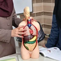 تدریس مفهومی زیست شناسی