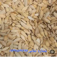 فروشگاه محصولات کشاورزی و نهادهای دامی جام|عمده‌فروشی|تربت جام, حافظ|دیوار