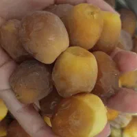 رطب تازه پاسلاری یا هلیله
