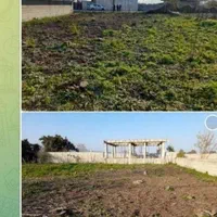 فروش ۴۵۲متر زمین مسکونی بره اسفالت|فروش زمین و ملک کلنگی|شاندرمن, |دیوار