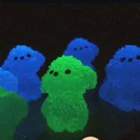 هاپو های زیبا شب تاب