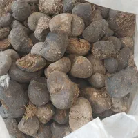 فروش عنبر نسا( سرگین خر ماده) مدت محدود )