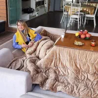 منقل هیتر کرسی برقی اک ناسیونال ژاپنی|بخاری، هیتر، شومینه|کرج, شهرک بنفشه|دیوار