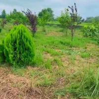 2پلاک-زمین-باغی-ک-اگرقیمتش-روبگم-باورنمیکنید