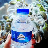 نیروی دفتری