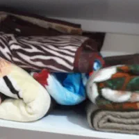 کوله پشتی وغیره|کیف، کفش، کمربند|بوکان, |دیوار