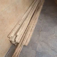 تعداد تخته صنوبر
