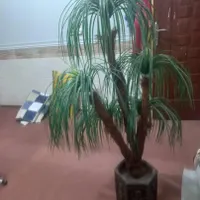 فروش درختچه مصنوعی
