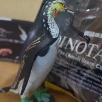 فیگور حیوانات پنگوئن ماقبل تاریخ کمیاب برند کایودو|کلکسیون و سرگرمی|تهران, گلستان (شهرک راه آهن)|دیوار