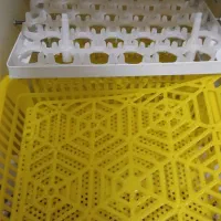 دستگاه جوجه کشی