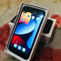 سون درجه۱زیرقیمت ارزنده (فوری)