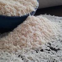 فروش برنج فوق اعلاء هاشمی