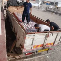 انواع خرما مضافتی و کلوته با بهترین کیفیت