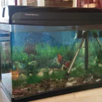 آکواریوم یک تیکه خم