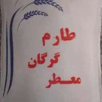 برنج طارم معطر گرگان