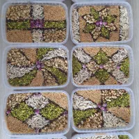 رنگینک پر مغز با رطب درجه یک