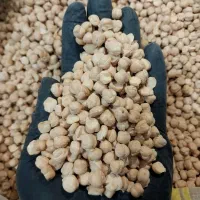 نخود *درشت* کرمانشاهی  *حبوبات* با کیفیت تضمینی