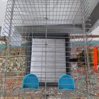 قفس پرنده فروشی قیمت. 500|لوازم جانبی حیوانات|بهشهر, |دیوار