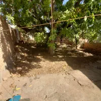 فروش زمین ۴۸۳ متری مسکونی در کشه|فروش زمین و ملک کلنگی|نطنز, |دیوار