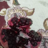 انار دون مشکی قیمت۱۵۰مقتوع عمده ۱۳۰ تومان