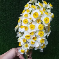 گلدان گل نرگس|گل مصنوعی|صفادشت, |دیوار