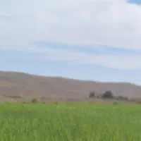 زمین کشاورزی