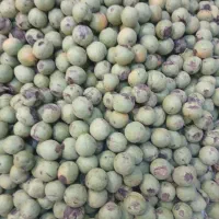گردو درجه یک|خوردنی و آشامیدنی|تهران, فرحزاد|دیوار