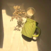 ماگ خط دار