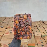 خرما جهرم|خوردنی و آشامیدنی|قم, شهرک سازمان آب|دیوار