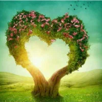 وام بانک مهر ایران