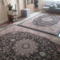 اجاره آپارتمان|اجارهٔ آپارتمان|تهران, تهرانپارس شرقی|دیوار