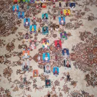 کیمدی.  2025به همراه 5 مربی