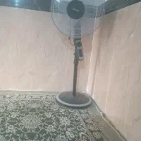 پنک استاده