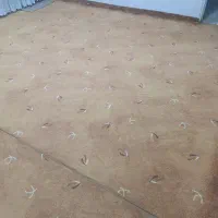 2عددموکت  12متری و1عدد فرش 700شانه 12متری