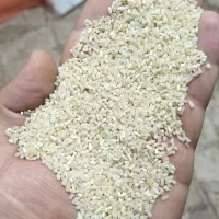 نیم دانه دودی عمده
