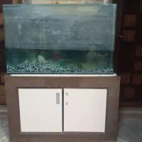 آکواریوم لبه گرد