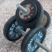 دمبل ورزشی۱۰کیلویی