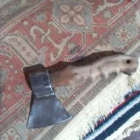 تبر. زین. کوجیک. قدیمی