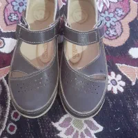 کیف وکفش
