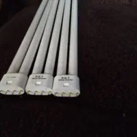 دو عدد مهتابی زرد سالم