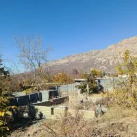 زمین گنجه ای بزرگ .یاسوج