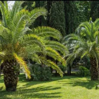 فروش-هکتاری-زمین-به-قیمت-مناسب-مخصوص-سرمایه-داران