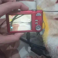 دوربین .معاوضه با قناری نر بخون.عروس