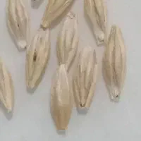 جو دیم بذری دقت کنید