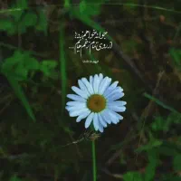 اصفهان گردی
