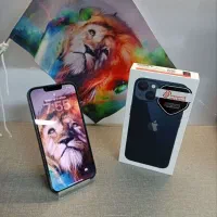 iPhone13 normal