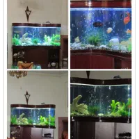 اکواریوم شیشه خم