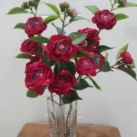 ۳ شاخه گل کاملیا قرمز هلندی