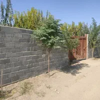 باغ-فروشی