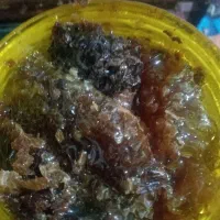 عسل کندو کوهی با موم